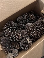 Large Egg Box Filled w/ Large Pinecones