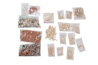 Large Assortment of Loose Bone Beads