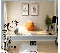 Murrey Home Gym Mirrors for Home Gym 48"x24"x3pcs