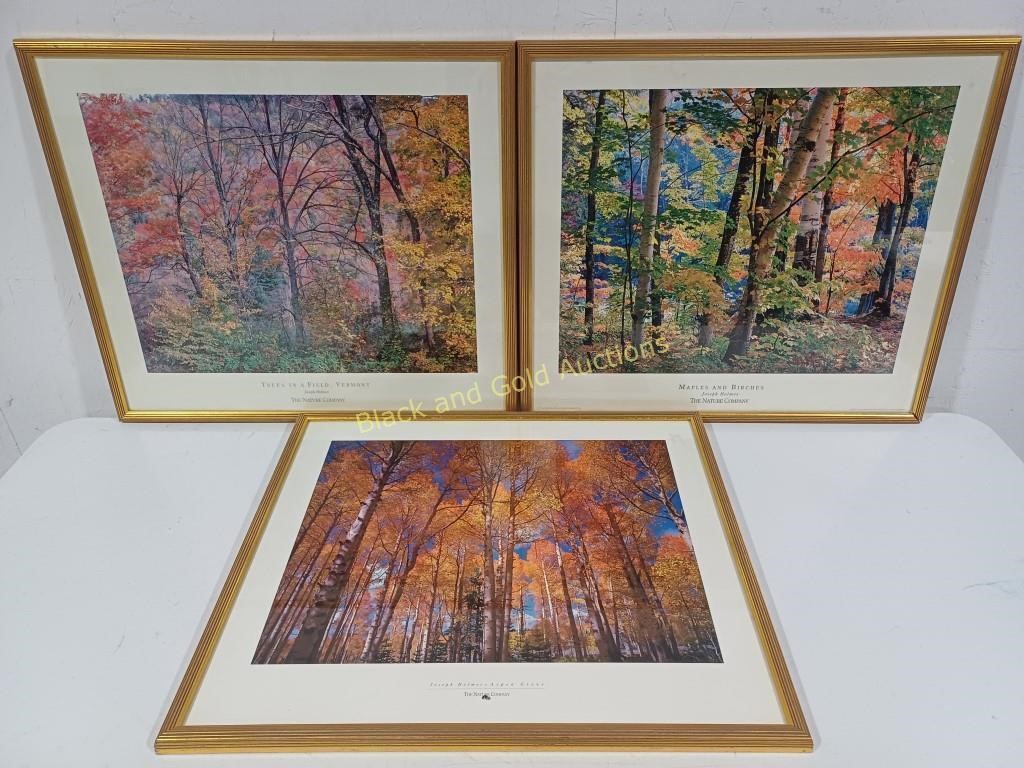 (3) Framed Joseph Holmes Nature Photos