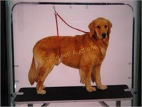 Master equipment - dog grooming overhead arm