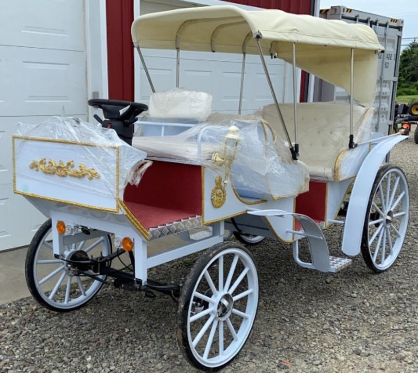 New Meco Electric "Horseless Carriage"