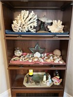 3 Shelves of Ocean / Beach Collectibles