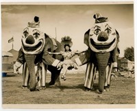 8x10 Elephants in clown costumes holding woman