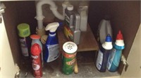 Cleaning supplies under sink (you box)