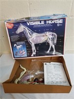 Visible Horse Model Kit