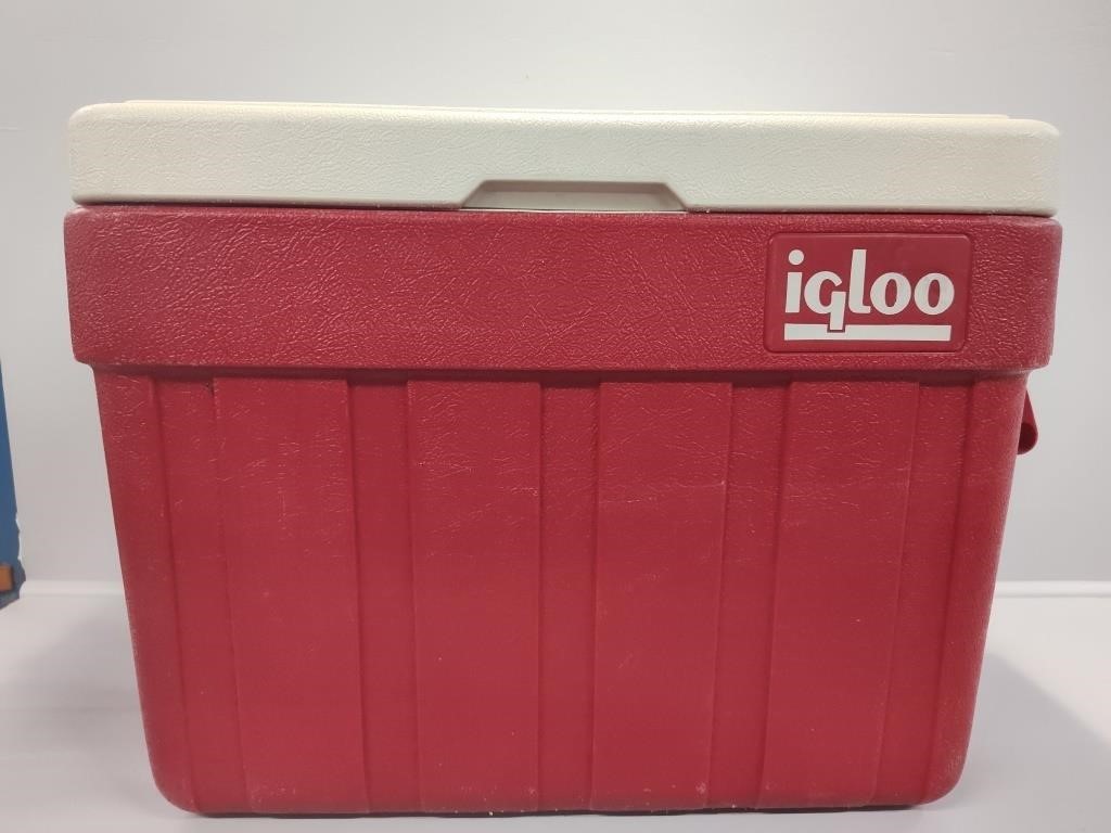 Igloo Cooler