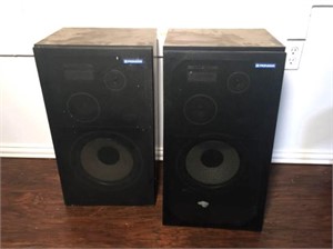 Pioneer Floor Speakers