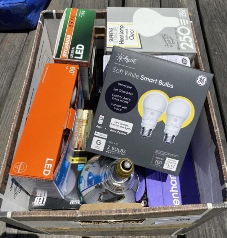 Box of Light Bulbs