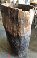 Primative Hornbeam barrel