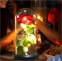 Real preserved rose w lighted glass case