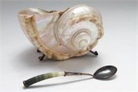 Nautilus Shell Silver Condiment Caviar Bowl Spoon
