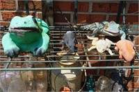 Collection of Outdoor Frogs