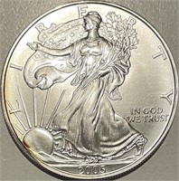 US 2005 Silver Eagle