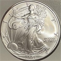 US 2004 Silver Eagle