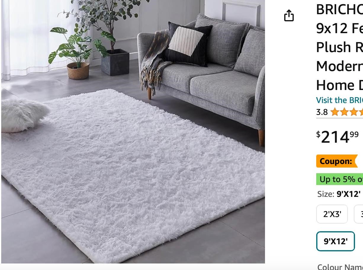 BRICHOEE Extra Large Shag Area Rug, 9x12 Feet