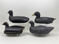 4 Coot Decoys