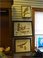 Three framed prints of birds