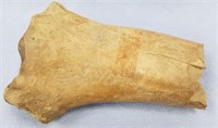 Petrified leg bone 7"               (N 105)