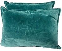 Pair of Green "Velvet Soft" Accent Pillows