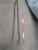 Chain With Hooks Approximately 10 ft