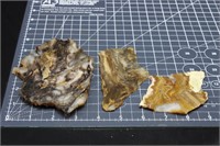 Petrified Wood & Lysite Slabs, 8oz