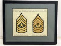 Framed Sgt Major Patches with Info