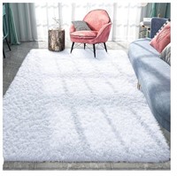 Pacapet white Fluffy Area Rug 4x6 ft