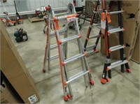Little Giant Alta-One Ladder