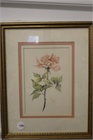 Framed Watercolor, Rose Watercolor