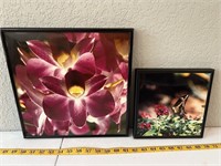 2 Framed Photos