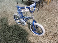 SPORTEK YOUTH BICYCLE