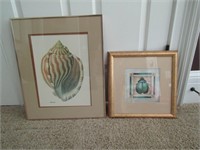 Shell & Beetle Print in Frame Shell is 23" x 18"