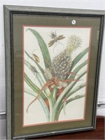 framed art, insects on plant, 19 x  25 1/4 "