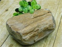 PETRIFIED WOOD ROCK STONE LAPIDARY SPECIMEN