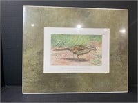 Ring Necked Pheasant Color Lithograph
