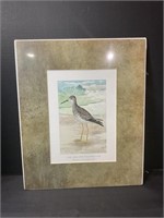 The Greater Yellowlegs Color Lithograph