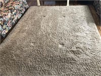 Drexel Heritage Luxury Shag Carpet (7 Ft X 10 Ft)