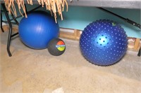 (3) Excersize Balls