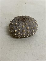Fossilized Sea Urchin excavated in Indonesia