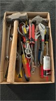 Tray of tools