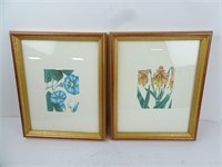 Lot of 2 Wildwood Gallery Floral Prints in Frame