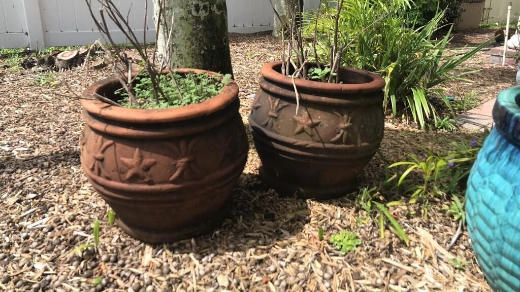 2 Terracotta Planters