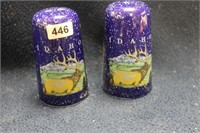 IDAHO SPECKLED ENAMEL SALT & PEPPER SET