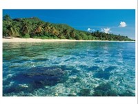 *Tropical Sea Beach Rainforest Canvas- 24x36in