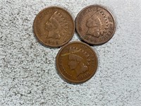 Three 1906 Indian head cents