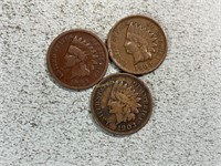 Three 1903 Indian head cents