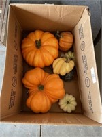 Large Box of Pumpkins