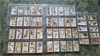 Set of 50 (How To) Tobacco Cards from the 1936