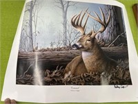 Anthony Padgett signed print deer-NO SHIPPING